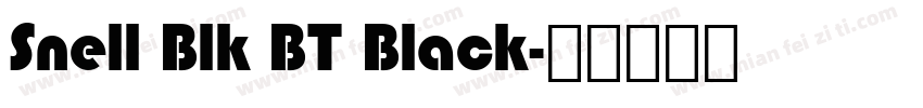 Snell Blk BT Black字体转换